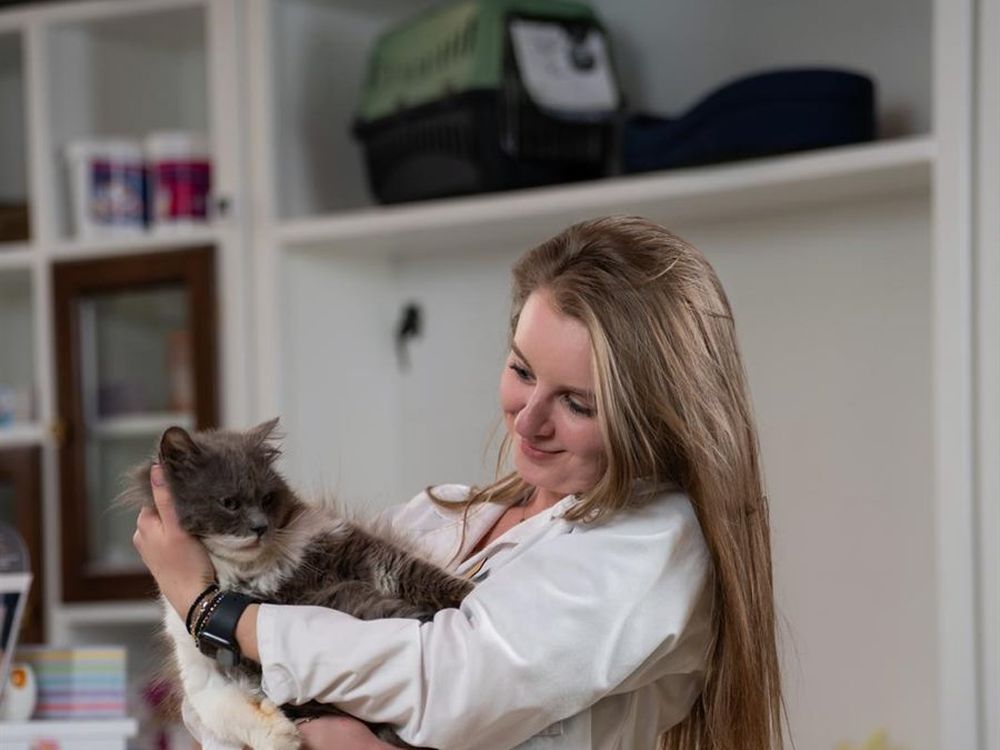 Dr. Olariu Laura Andreea ținând în brațe o pisică la cabinetul LauraVet