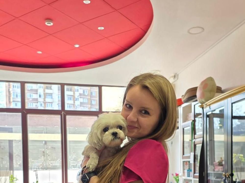 Medic veterinar ținând în brațe un Shih Tzu în sala cabinetului LauraVet