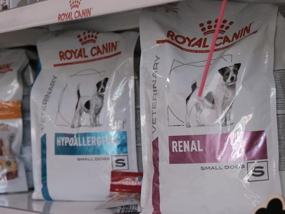 Rafturi cu diete veterinare Royal Canin în pet shop-ul cabinetului LauraVet