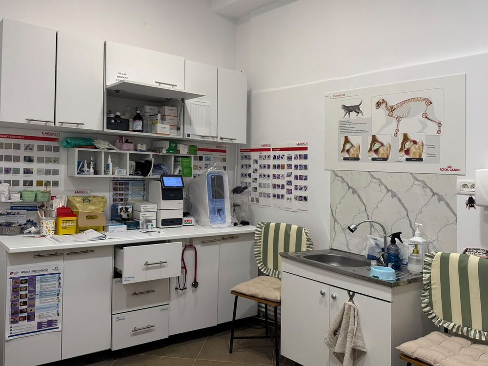 Sala de tratament și laborator din cabinetul veterinar LauraVet