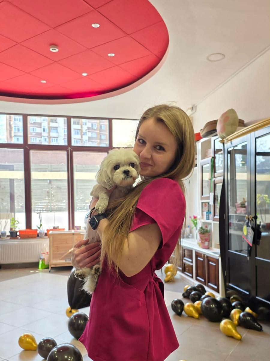 Medic veterinar ținând în brațe un Shih Tzu în sala cabinetului LauraVet
