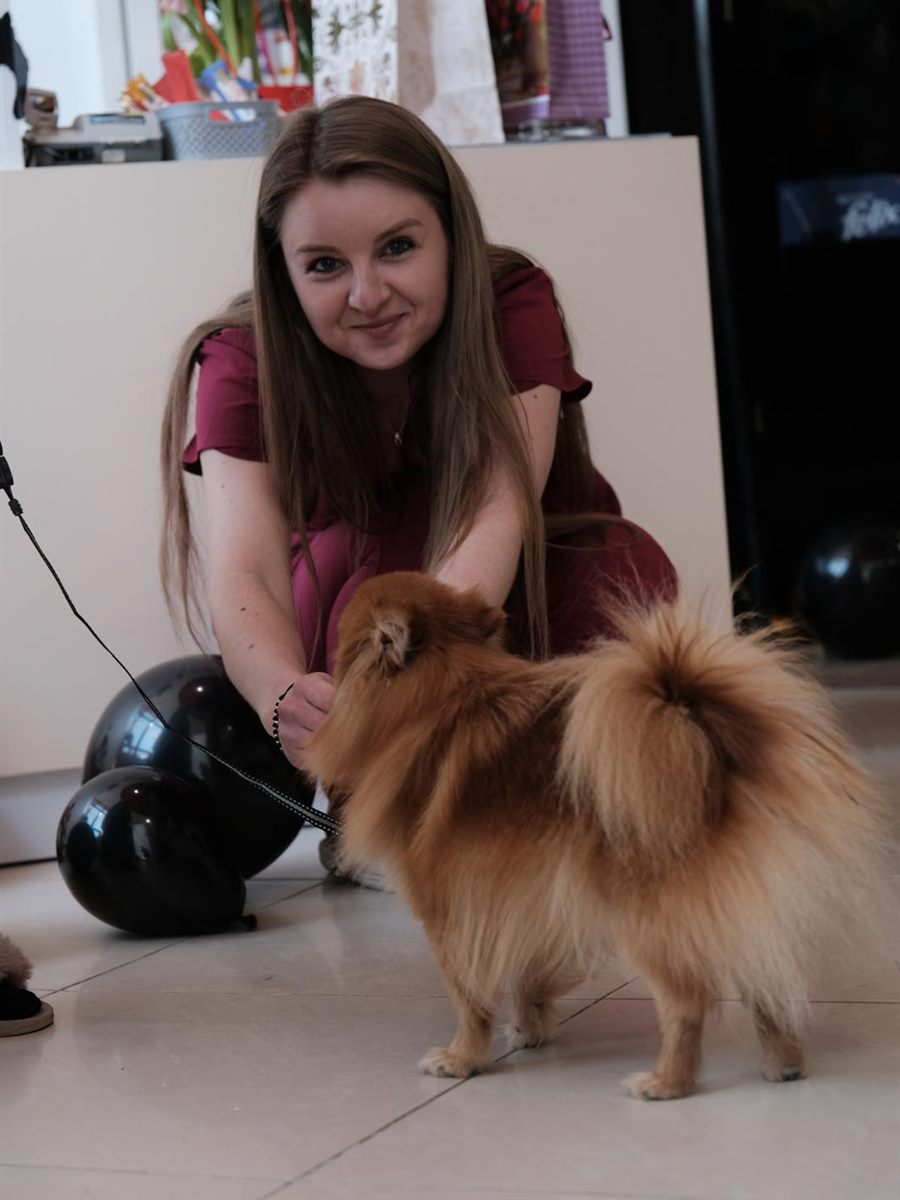 Medic veterinar alături de un câine Pomeranian la cabinetul LauraVet