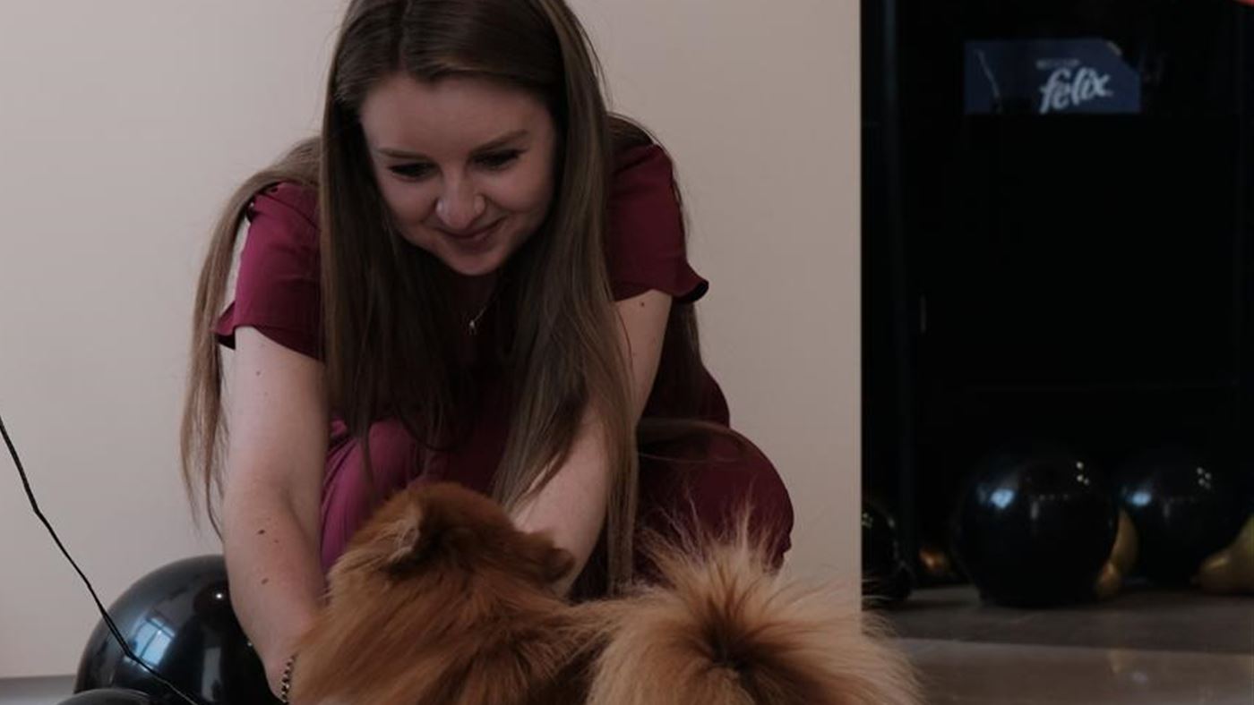 Medic veterinar alături de un câine la cabinetul LauraVet din Botoșani